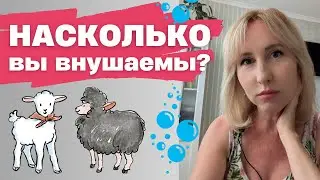 Внушаемость / Насколько легко на вас повлиять?
