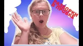 Первый ВЛОГ//разборки  на дорогах//