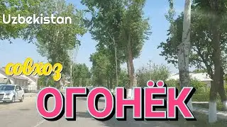 Uzbekistan Tashkent совхоз ОГОНЁК  НИЖНЕ ЧИРЧИКСКИЙ РАЙОН