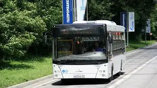 Поездка на автобусе МАЗ-206.086 №33110 №121 Вокзал Сочи-Цирк