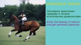 #naturesound Horseback riding - Верховая езда.