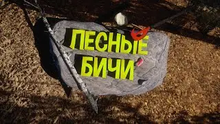 The Forest - ЛЕСНЫЕ БИЧИ