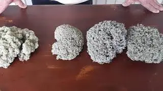Стабилизированный мох