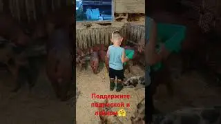#деревня