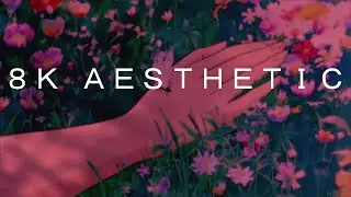 ８Ｋ Ａｎｉｍｅ Ａｅｓｔｈｅｔｉｃ Edit