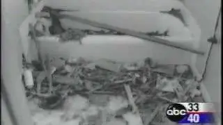 April 3-4, 1974 Superoutbreak of Tornadoes
