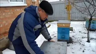 зимовка в одном корпусе рута или в двух
