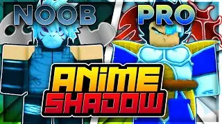 I became PRO in 50+ HOURS in Anime Shadow!