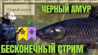 Бесконечный стрим - Чёрный Амур | Старый Острог | Русская Рыбалка 4