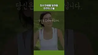 당신의 마음을 달래줄 자연의 선율 #자연소리 #편안한음악 #도파민디톡스