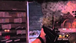 Buried - How to Get Perk For 10 Points - Black Ops 2 Zombies