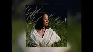 I Bet On Losing Dogs ~ Mitski {Slowed}