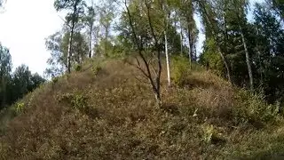 Городище Лысая гора