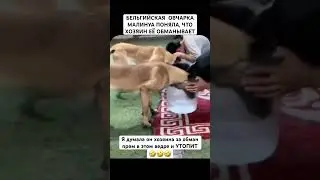 Как она ныряет в воду чтобы убедиться что ей ее кажется😂❤️