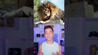 Animals With Down Syndrome 🤪