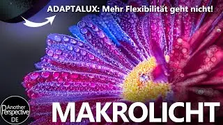Macro photography with Cyberpunk Macro Light | Adaptalux