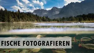 Mein bisher bestes Unterwasser-Foto!