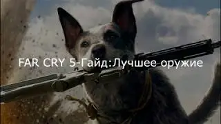 Far Cry 5 Гайд по оружию лучшее