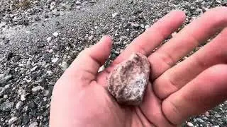 Ядкан Кони 29.08.24 г Кыштовский район