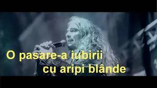 SCHIMBUL 3 - Pasarea iubirii