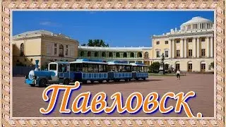 Павловский парк.  Прогулка в Паловском парке.