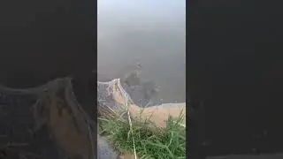 Когда не взял на рыбалку подсак 
