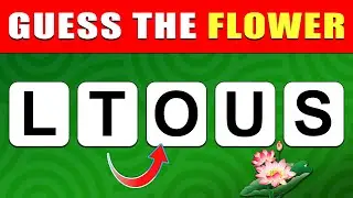 Guess the Flower 🌸 Scrambled Letters Challenge | Fun Flower Quiz for All Ages!