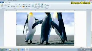 MS Word Ped in Gujarati Language