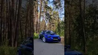 Subaru and forest at sunset #tuning #auto #reels #japancars #subaru #impreza #shorts #wrxsti