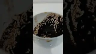 LEO ♌ - WEEKLY COFFEE CUP READING ☕ - 4 TO 10 NOVEMBER 2024