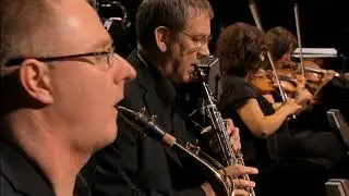 Michael Nyman - Chasing Sheep is Best Left to Shepherds