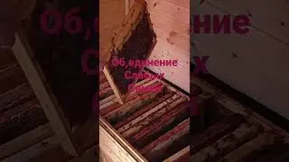 Об,единение слабых семей. 