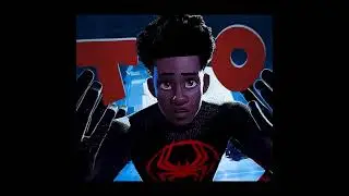 Across the Spiderverse Spider Squad Edit