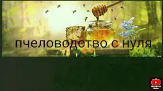 помещение пчеловода #бытовка пчеловода #мини пасека