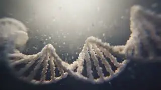 Realistic DNA in Cinema 4D