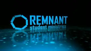 Remnant VC Reflect