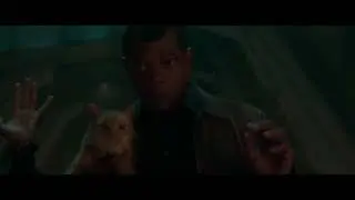 IM A CAT