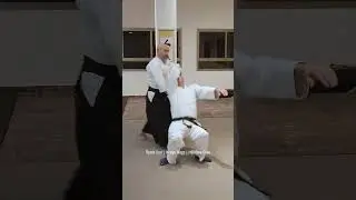 Ryote Dori | Kokyu Nage | Hijikime Osae | Aikido