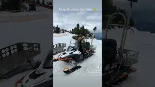 From Miami to the Alps ☀️🏔️ 