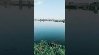 3 августа 2024 г.