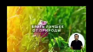 Биоминеральные комплексы WELLLAB