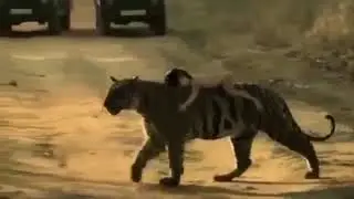 нарезка лучших приколов