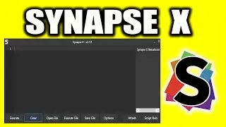 How To Join The Offical Synapse X Discord Server *2023* (WORKING)