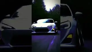 The Demon Slayer 