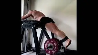 Reverse Hyper Extension For A Lower Back Of Steel! #bodybuilding