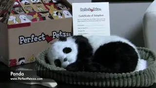 Perfect Petzzz : Panda