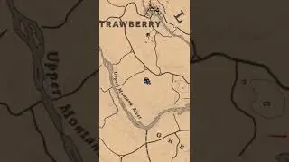 Madam Nazars Location) For 8/13 - RDR2 Online, #shorts-#shortsvideo,madam nazar location #rdr2