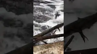 Harnessing the Waterfall’s Power!  #nature #naturevideo #waterfall #grounding #wellness #fun #ions