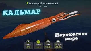 Русская рыбалка 4 (РР4) Норвежское море КАЛЬМАР, Макрель