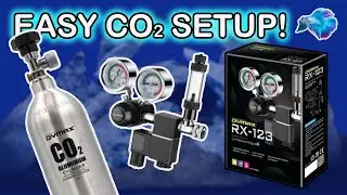 HOW TO SETUP AQUARIUM C02 SYSTEM/ DYMAX CO2 SETUP
